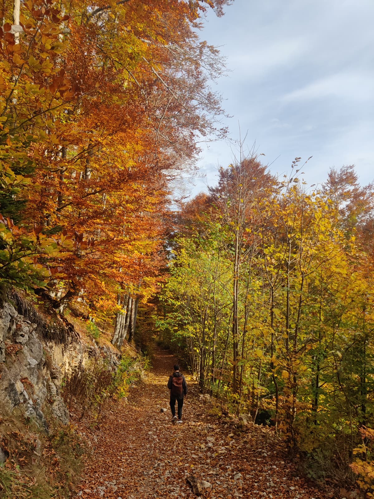 A person walking a leaf-covered trail through an autumn forest